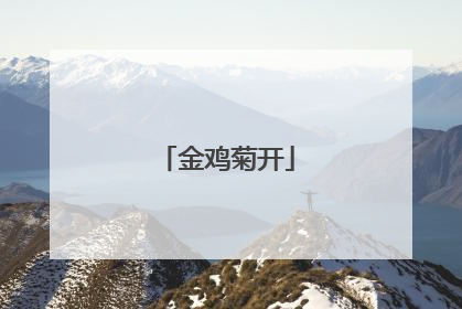 金鸡菊开