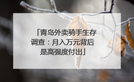 青岛外卖骑手生存调查：月入万元背后是高强度付出