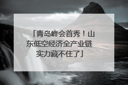 青岛峰会首秀！山东低空经济全产业链实力藏不住了