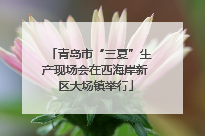 青岛市“三夏”生产现场会在西海岸新区大场镇举行