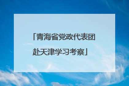 青海省党政代表团赴天津学习考察