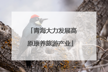 青海大力发展高原康养旅游产业