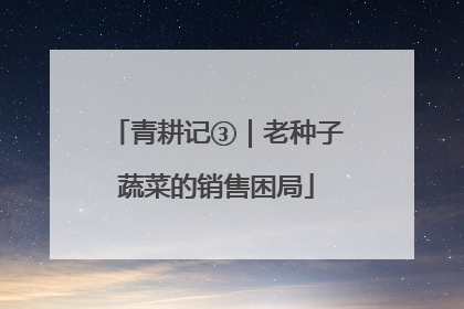 青耕记③｜老种子蔬菜的销售困局