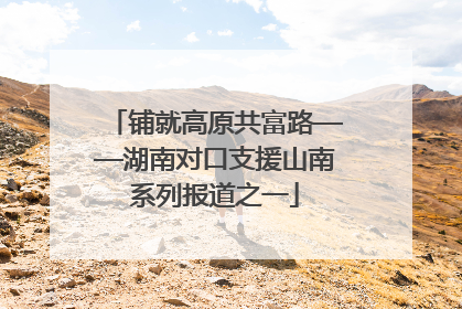 铺就高原共富路——湖南对口支援山南系列报道之一
