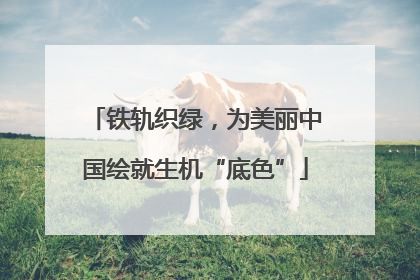 铁轨织绿，为美丽中国绘就生机“底色”