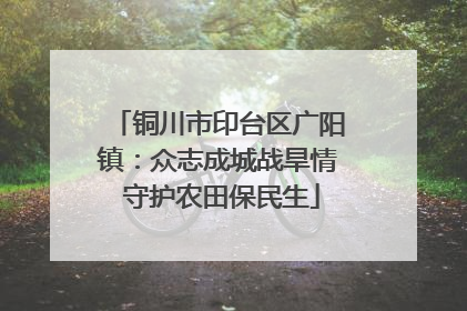铜川市印台区广阳镇：众志成城战旱情 守护农田保民生