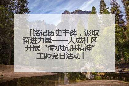 铭记历史丰碑，汲取奋进力量——大成社区开展“传承抗洪精神”主题党日活动