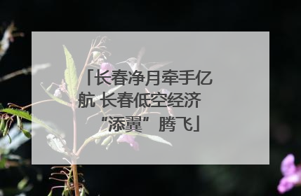 长春净月牵手亿航 长春低空经济“添翼”腾飞
