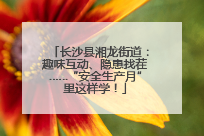 长沙县湘龙街道：趣味互动、隐患找茬……“安全生产月”里这样学！