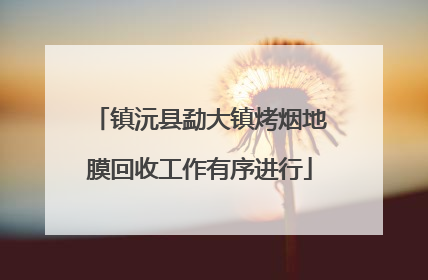 镇沅县勐大镇烤烟地膜回收工作有序进行