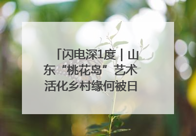 闪电深1度｜山东“桃花岛”艺术活化乡村缘何被日本友人推介？