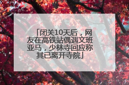 闭关10天后，网友在高铁站偶遇文班亚马，少林寺回应称其已离开寺院