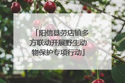 阳信县劳店镇多方联动开展野生动物保护专项行动