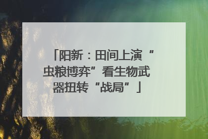 阳新：田间上演“虫粮博弈”看生物武器扭转“战局”