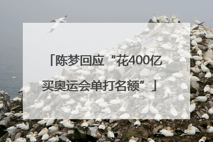陈梦回应“花400亿买奥运会单打名额”