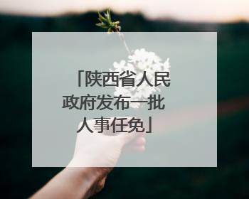 陕西省人民政府发布一批人事任免