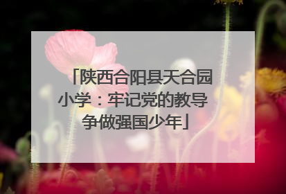 陕西合阳县天合园小学：牢记党的教导 争做强国少年