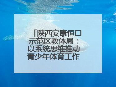 陕西安康恒口示范区教体局：以系统思维推动青少年体育工作高质量发展