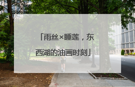 雨丝×睡莲，东西湖的油画时刻