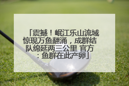震撼！岷江乐山流域惊现万鱼翻涌，成群结队绵延两三公里 官方：鱼群在此产卵