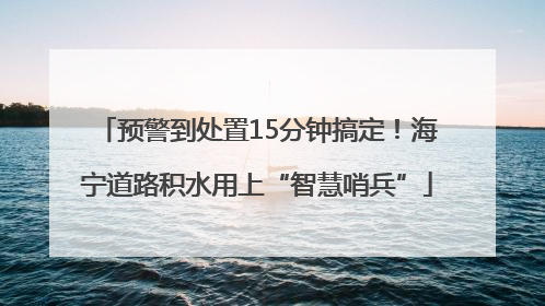 预警到处置15分钟搞定！海宁道路积水用上“智慧哨兵”