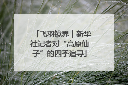 飞羽镜界｜新华社记者对“高原仙子”的四季追寻