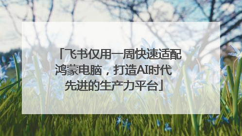 飞书仅用一周快速适配鸿蒙电脑，打造AI时代先进的生产力平台