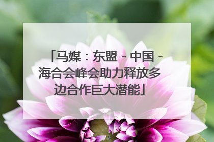 马媒：东盟－中国－海合会峰会助力释放多边合作巨大潜能