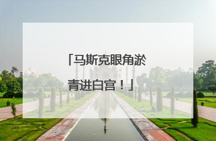 马斯克眼角淤青进白宫！