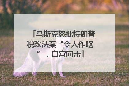 马斯克怒批特朗普税改法案“令人作呕”，白宫回击