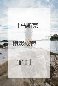 马斯克抱怨成替罪羊