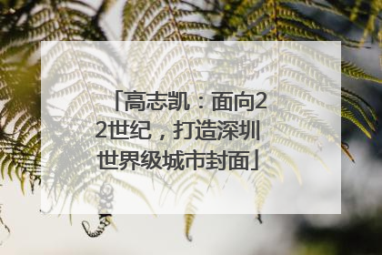 高志凯：面向22世纪，打造深圳世界级城市封面
