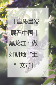 高质量发展看中国｜黑龙江：做好耕地“土”文章