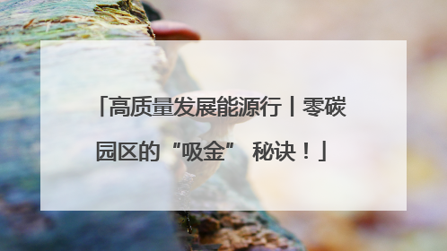 高质量发展能源行丨零碳园区的“吸金” 秘诀！