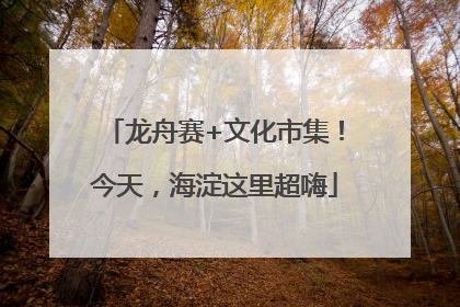 龙舟赛+文化市集！今天，海淀这里超嗨