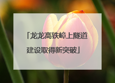 龙龙高铁嶂上隧道建设取得新突破