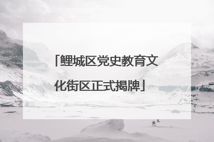 鲤城区党史教育文化街区正式揭牌
