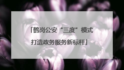 鹤岗公安“三度”模式 打造政务服务新标杆