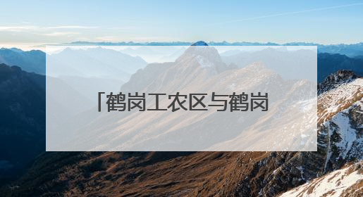 鹤岗工农区与鹤岗师专合作 开启校地协同发展新篇章