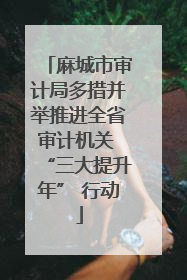 麻城市审计局多措并举推进全省审计机关 “三大提升年” 行动