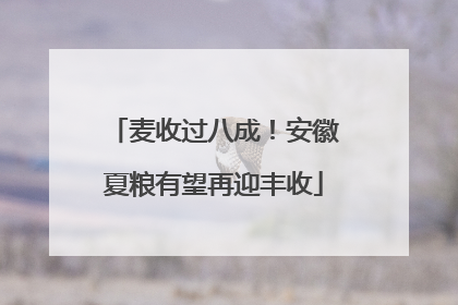 麦收过八成！安徽夏粮有望再迎丰收