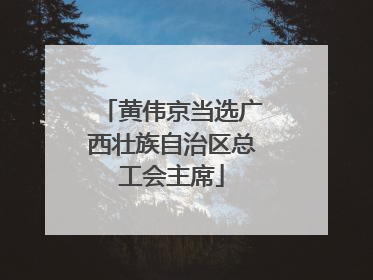 黄伟京当选广西壮族自治区总工会主席