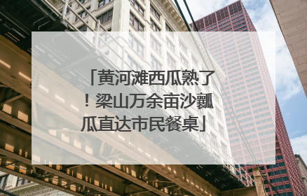 黄河滩西瓜熟了！梁山万余亩沙瓤瓜直达市民餐桌