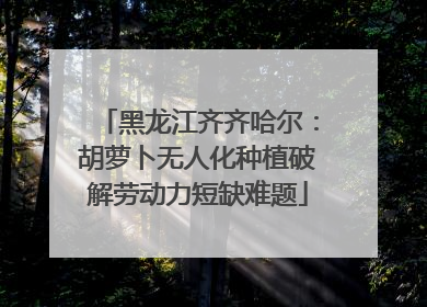黑龙江齐齐哈尔：胡萝卜无人化种植破解劳动力短缺难题