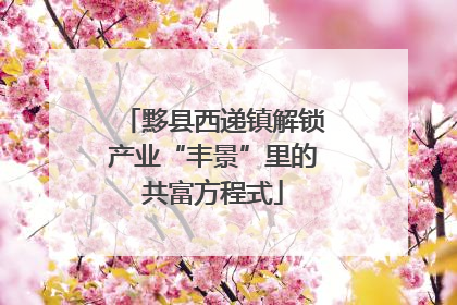 黟县西递镇解锁产业“丰景”里的共富方程式