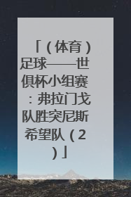 （体育）足球——世俱杯小组赛：弗拉门戈队胜突尼斯希望队（2）