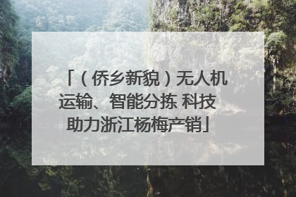（侨乡新貌）无人机运输、智能分拣 科技助力浙江杨梅产销