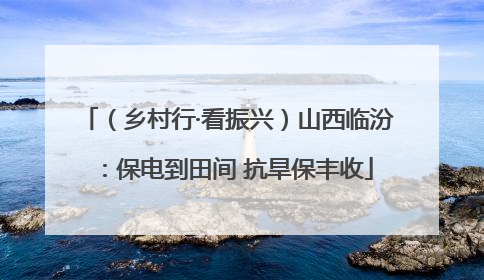 （乡村行·看振兴）山西临汾：保电到田间 抗旱保丰收