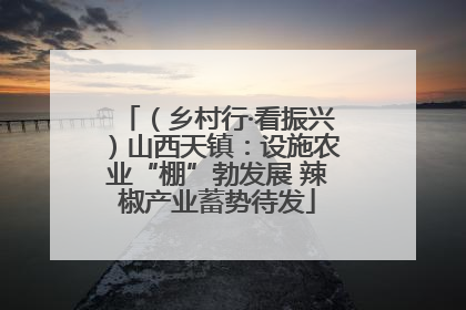 （乡村行·看振兴）山西天镇：设施农业“棚”勃发展 辣椒产业蓄势待发