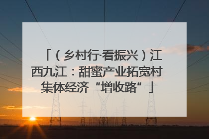 （乡村行·看振兴）江西九江：甜蜜产业拓宽村集体经济“增收路”